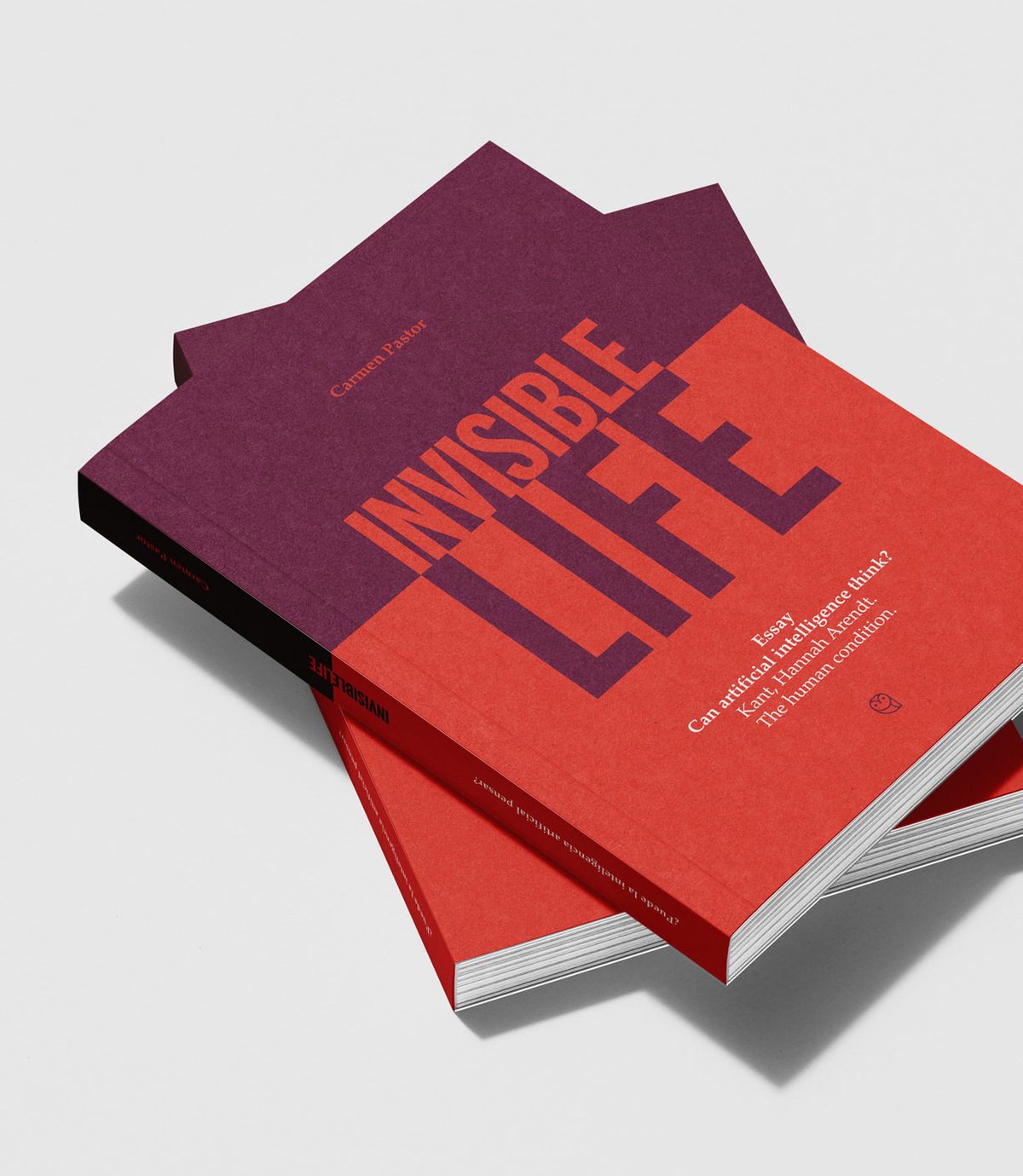 Copies of the English edition of the book